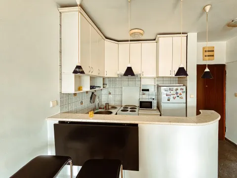 Rent, one bedroom apartment, 47m², Ljubović, Podgorica - image 4