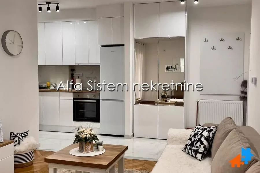 Izdavanje, dvosoban stan, 47m², Vračar Sve Podlokacije, Beograd