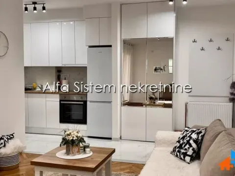 Izdavanje, dvosoban stan, 47m², Vračar Sve Podlokacije, Beograd - image 4