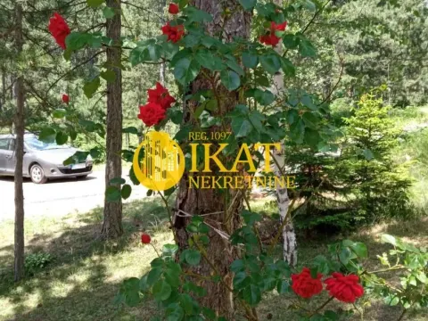 Sale, house, 170m², Tara, Srbija - image 14