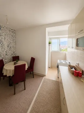 Prodaja, jednosoban stan, 55m², Stari Aerodrom, Podgorica - image 5