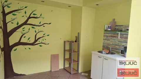 Manja kuhinja sa sudoperom i oslikanim drvetom na zidu. - image 8