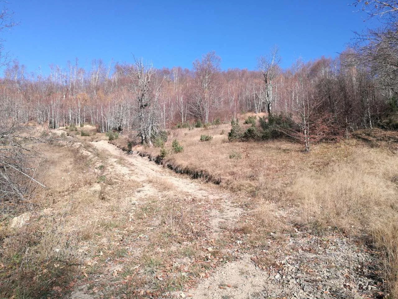 Prodaja, plac, 138000m², Kolašin, Crna Gora