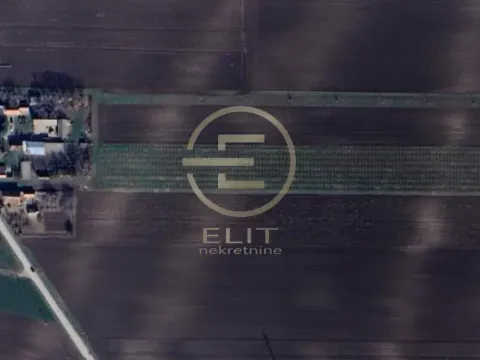 Prodaja, plac, 265m², Čenej, Novi Sad Sve Podlokacije - image 2