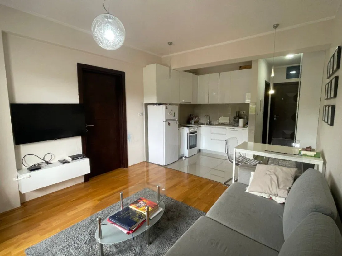Rent, one bedroom apartment, 45m², Vezirov Most, Podgorica