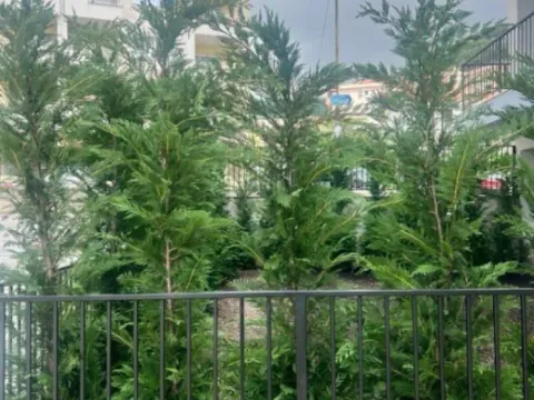 Sale, one bedroom apartment, 42m², Budva, Crna Gora - image 9