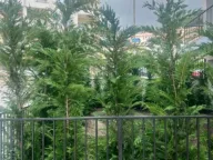 Prodaja, jednosoban stan, 42m², Budva, Crna Gora - image 9