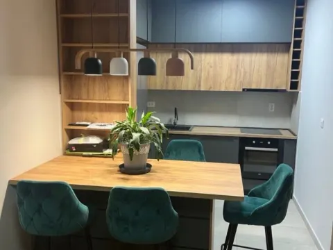 Rent, one bedroom apartment, 47m², Zabjelo, Podgorica - image 2