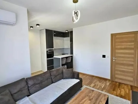 Rent, one bedroom apartment, 42m², Stari Aerodrom, Podgorica - image 1