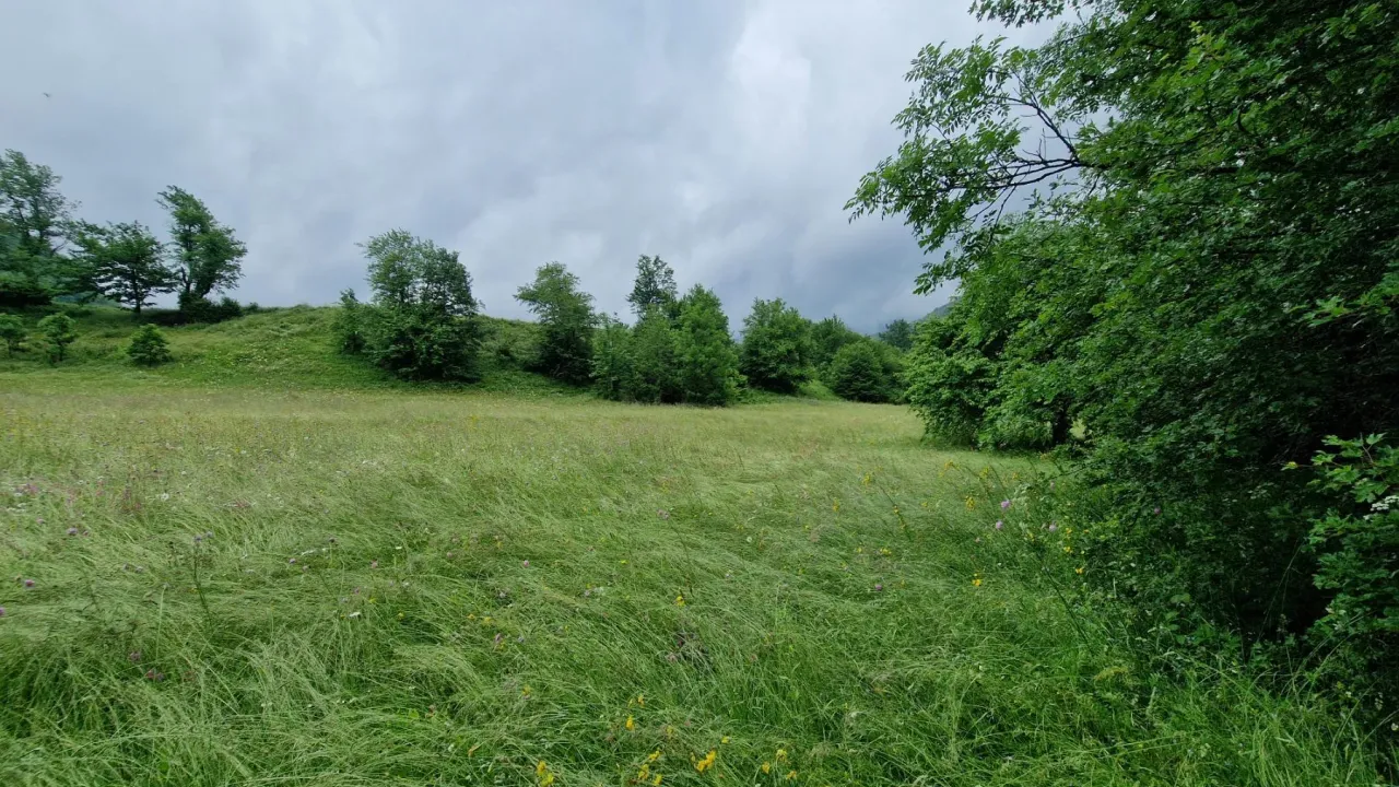 Prodaja, plac, 15100m², Kolašin, Crna Gora