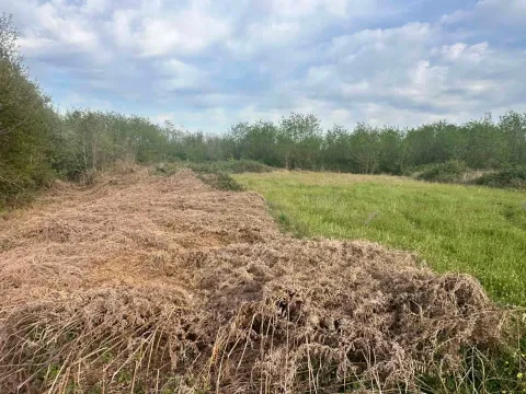 Prodaja, plac, 10860m², Orja Luka, Danilovgrad - image 3