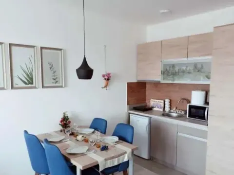 Prodaja, jednosoban stan, 28m², Kraljevi Čardaci, Kopaonik - image 12