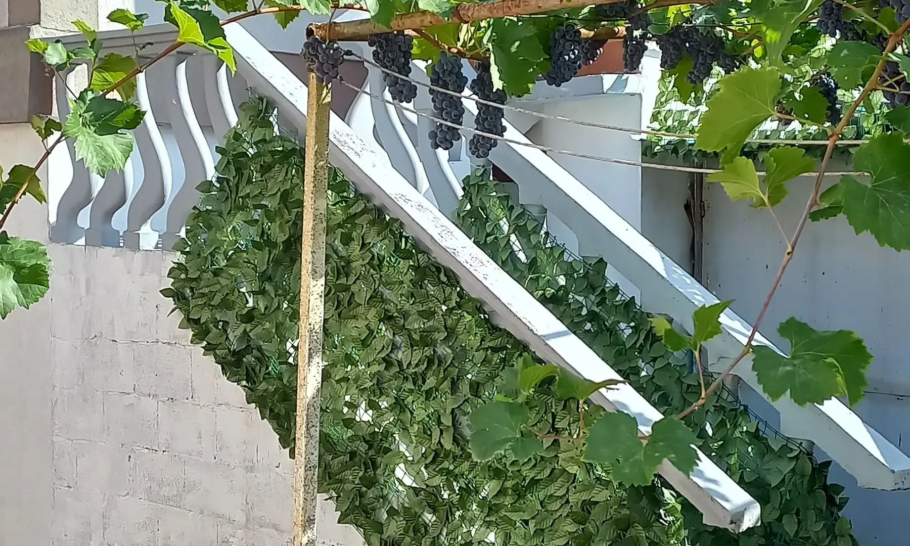 Rent, one bedroom apartment, 35m², Centar, Cetinje