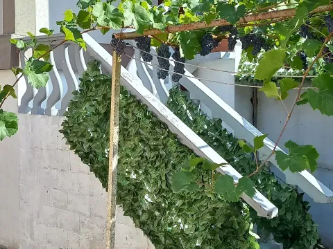 Rent, one bedroom apartment, 35m², Centar, Cetinje - image 3