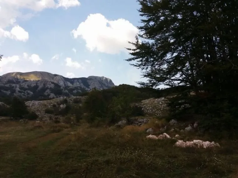 Prodaja, plac, 20000m², Cetinje, Crna Gora