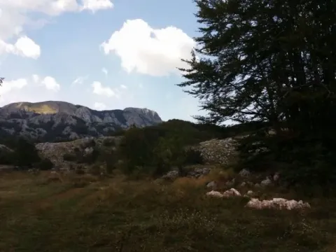 Sale, land lot, 20000m², Cetinje, Crna Gora - image 5