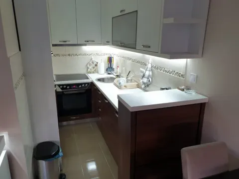 Izdavanje, garsonjera, 30m², Ljubović, Podgorica - image 2