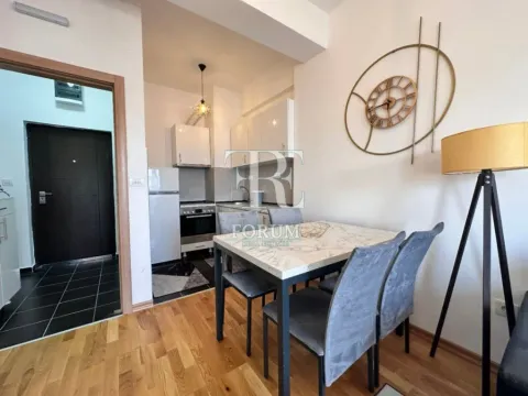 Izdavanje, jednosoban stan, 45m², Ljubović, Podgorica - image 8