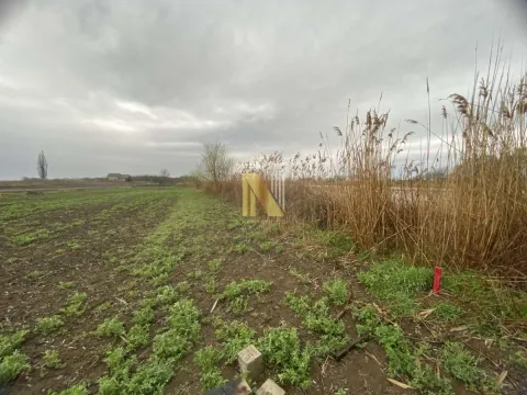 Sale, land lot, 2100m², Čurug, Žabalj - image 6