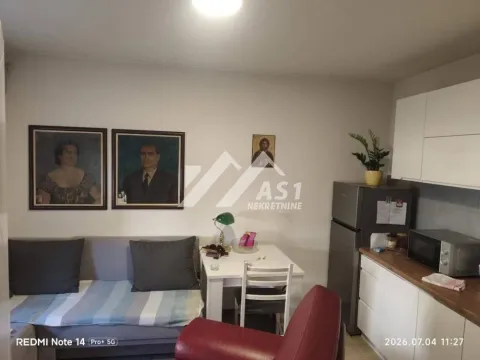 Prodaja, jednosoban stan, 35m², Adice, Novi Sad Sve Podlokacije - image 3