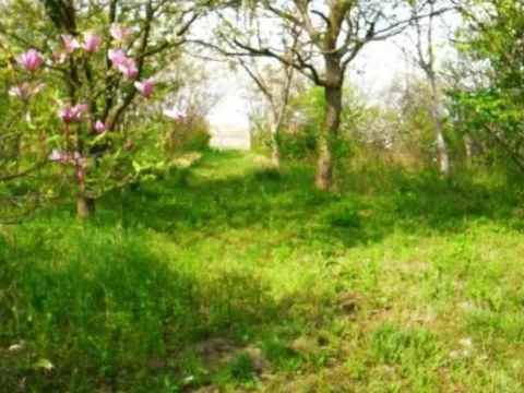 Prodaja, kuća, 200m², Borča Sve Podlokacije, Beograd - image 8