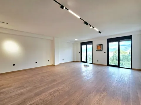 Prodaja, dvosoban stan, 206m², Zagorič, Podgorica
