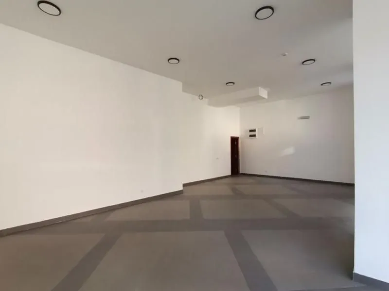 Izdavanje, poslovni prostor, 84m², Kluz, Zvezdara Sve Podlokacije