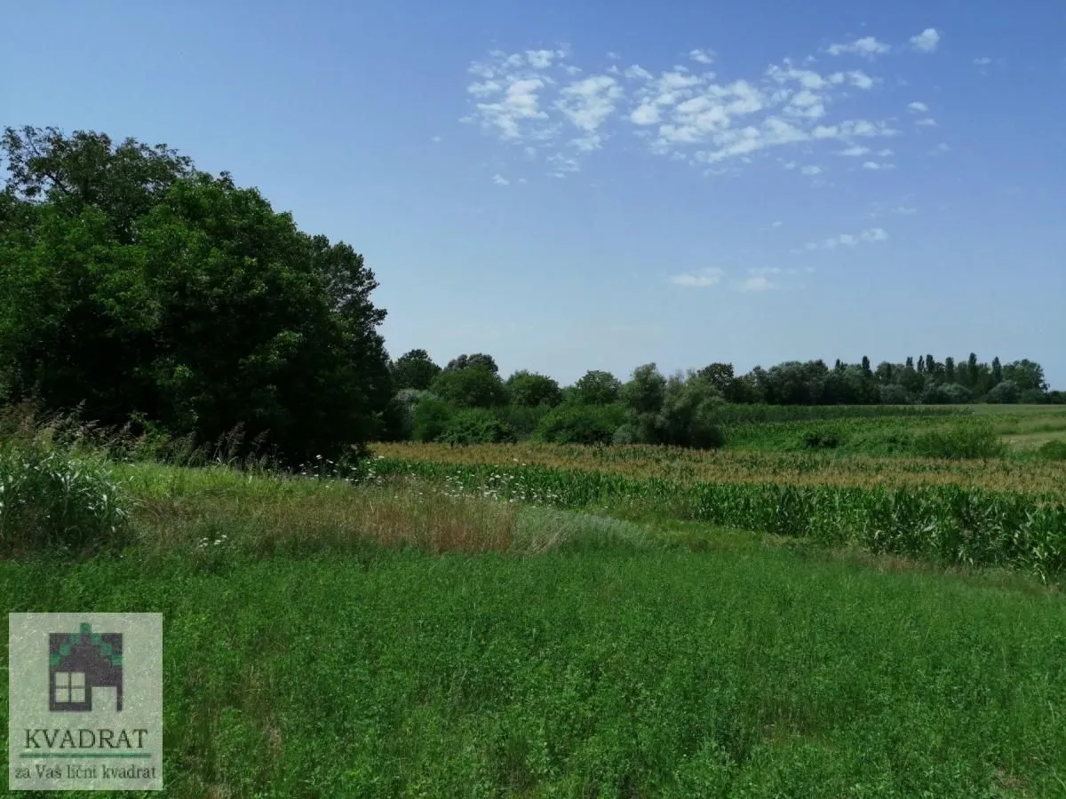 Sale, land lot, 2300m², Zvečka, Obrenovac