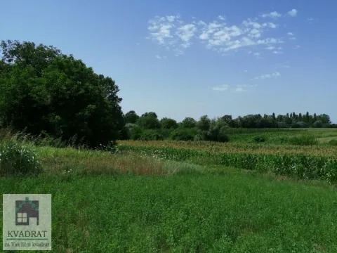 Sale, land lot, 2300m², Zvečka, Obrenovac - image 5