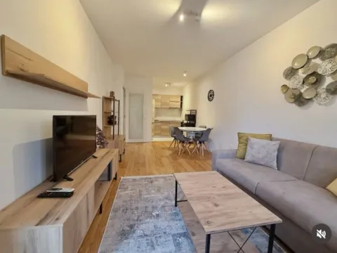 Prodaja, jednosoban stan, 46m², Central Point, Podgorica - image 4