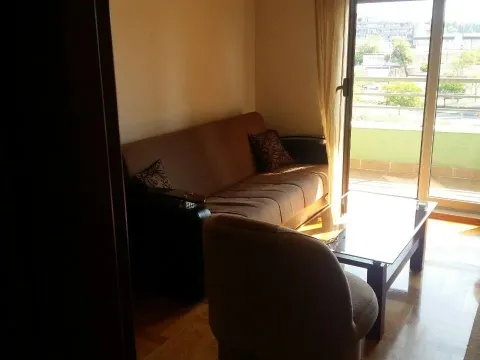 Rent, one bedroom apartment, 43m², Preko Morače, Podgorica - image 2