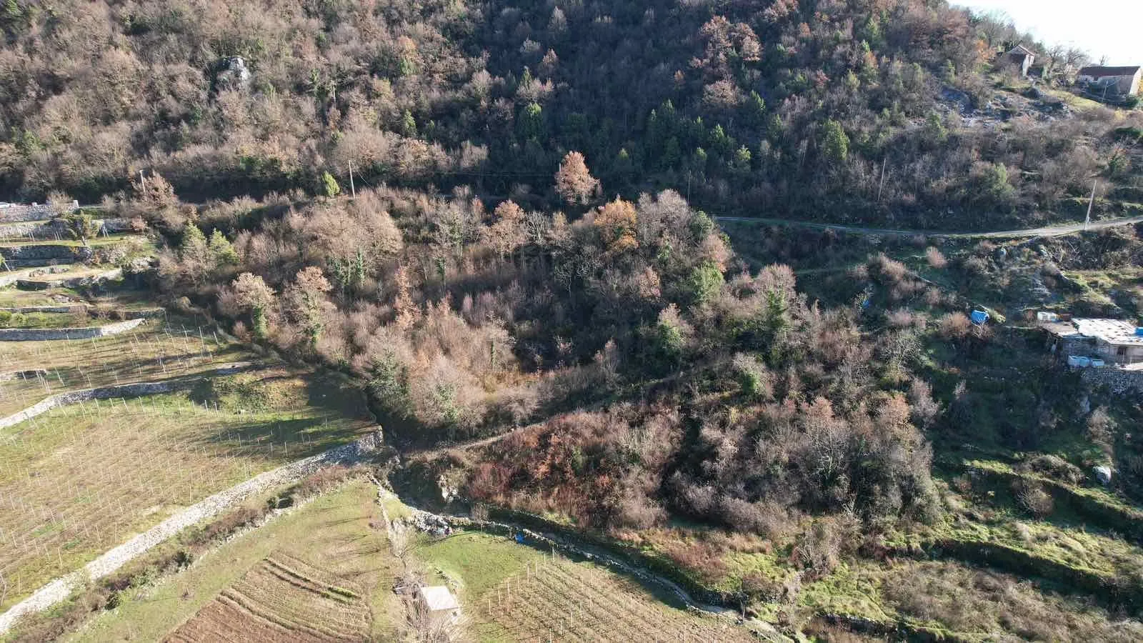 Prodaja, plac, 4400m², Cetinje, Crna Gora