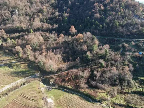 Sale, land lot, 4400m², Cetinje, Crna Gora - image 14