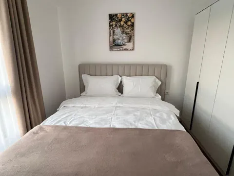 Izdavanje, jednosoban stan, 45m², Čeluga, Bar - image 5