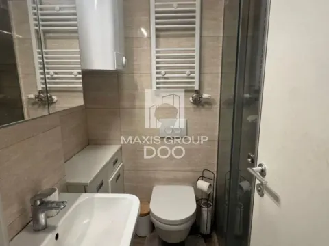 Izdavanje, dvosoban stan, 35m², Južni Bulevar, Vračar Sve Podlokacije - image 10