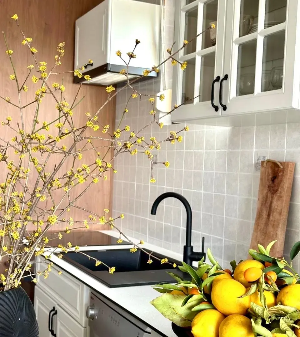 Rent, one bedroom apartment, 63m², Preko Morače, Podgorica
