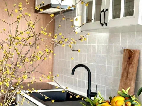 Izdavanje, jednosoban stan, 63m², Preko Morače, Podgorica - image 4