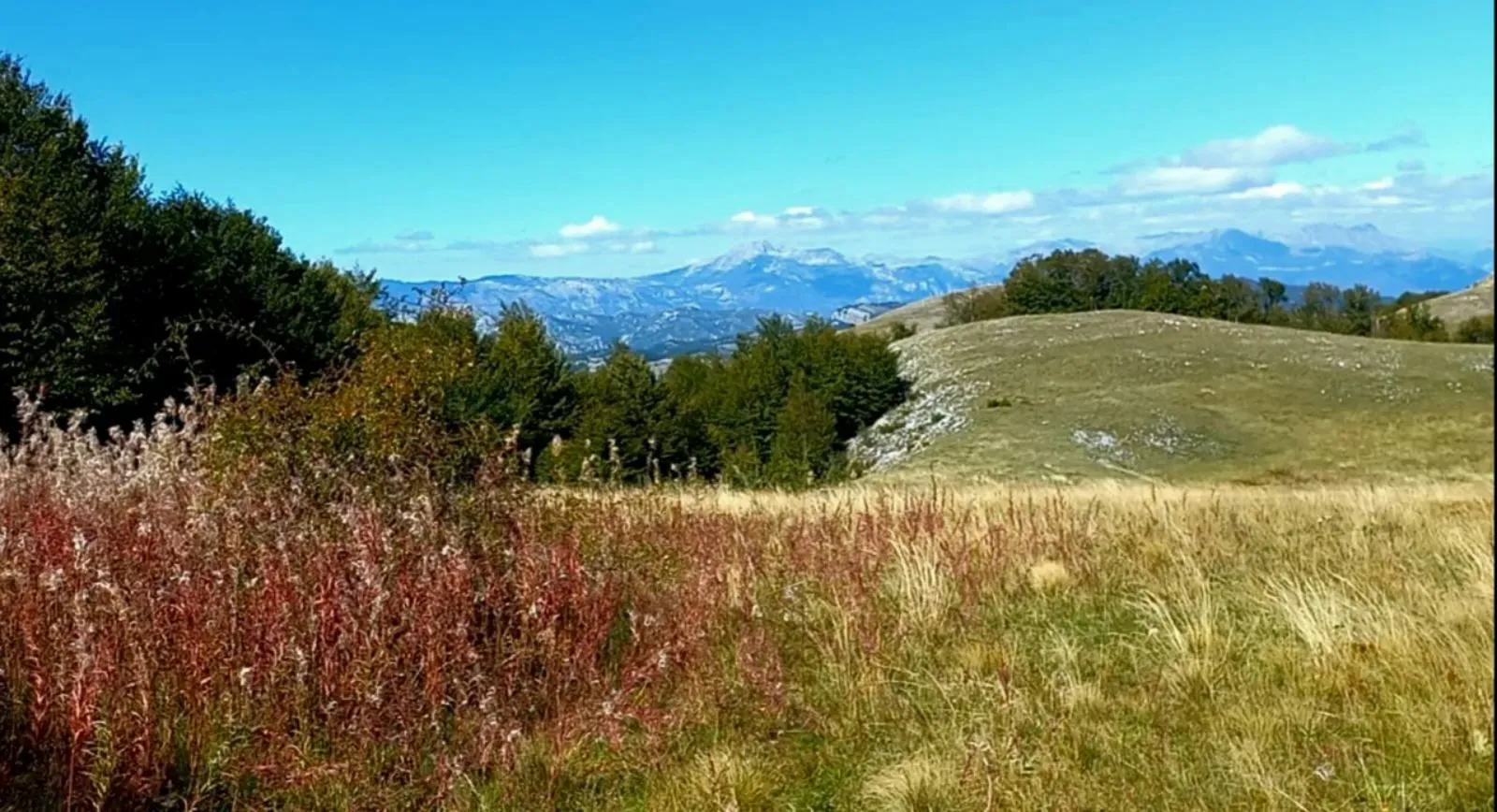 Prodaja, plac, 400000m², Podgorica, Crna Gora