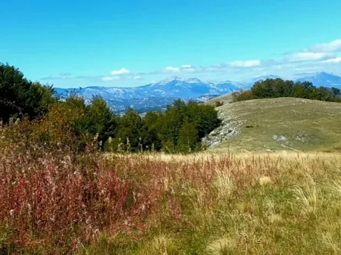 Prodaja, plac, 400000m², Podgorica, Crna Gora - image 3