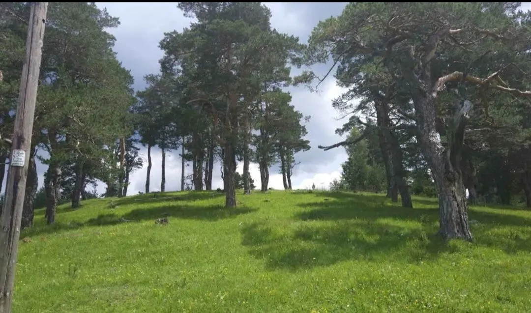 Prodaja, plac, 12000m², Žabljak, Crna Gora