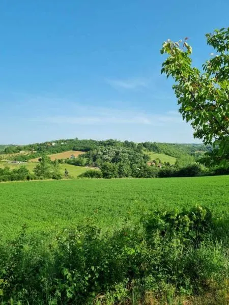 Prodaja, plac, 8400m², Sremski Karlovci, Novi Sad