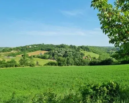 Prodaja, plac, 8400m², Sremski Karlovci, Novi Sad - image 9