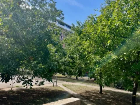 Prodaja, stan, 71m², Novi Beograd Blok 63, Novi Beograd Sve Podlokacije - image 8