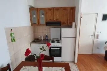 Rent, two bedroom apartment, 43m², Vračar Hram, Vračar Sve Podlokacije - image 6