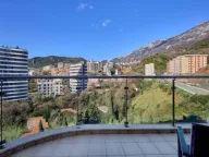 Rent, apartment, 60m², Bečići, Budva - image 7
