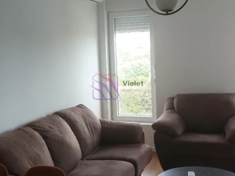 Rent, one bedroom apartment, 43m², Zabjelo, Podgorica - image 16