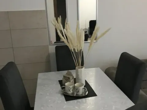 Rent, one bedroom apartment, 36m², Aqua park, Jagodina - image 6