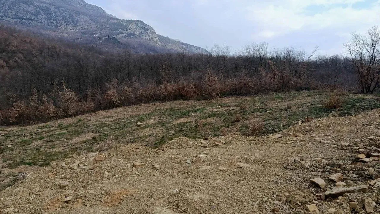 Sale, land lot, 8000m², Piperi, Podgorica