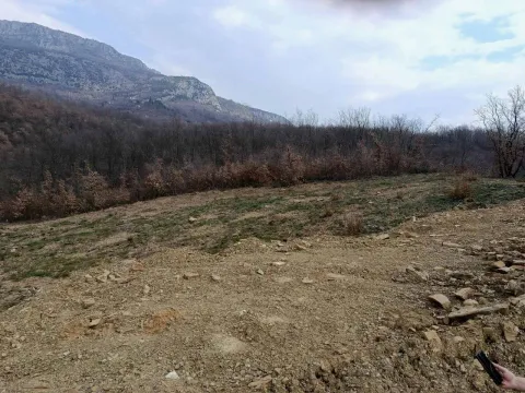 Prodaja, plac, 8000m², Piperi, Podgorica - image 1