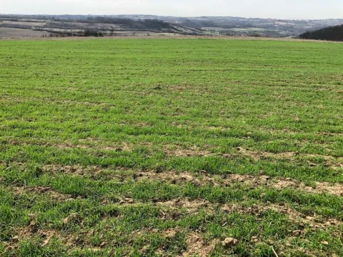 Pogled na prostrano poljoprivredno zemljište i okolni pejzaž. - image 3
